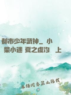 都市少年武神